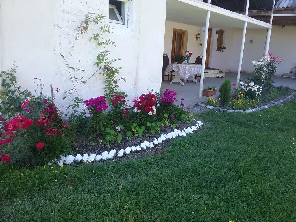 Guest House Anisa Birkiani Exterior photo